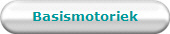 Basismotoriek