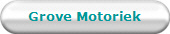 Grove Motoriek