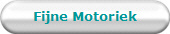 Fijne Motoriek